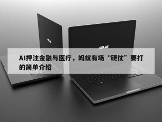 AI押注金融与医疗，蚂蚁有场“硬仗”要打的简单介绍