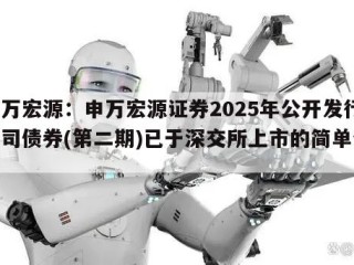 申万宏源：申万宏源证券2025年公开发行公司债券(第二期)已于深交所上市的简单介绍