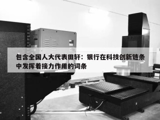包含全国人大代表田轩：银行在科技创新链条中发挥着接力作用的词条