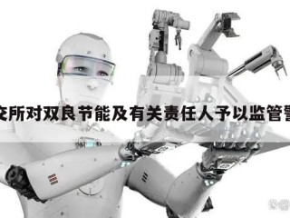 上交所对双良节能及有关责任人予以监管警示